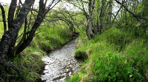 MVI 6678 Stock Footage 740105