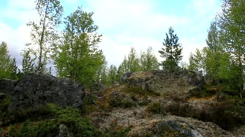 MVI 6689 Stock Footage 740132