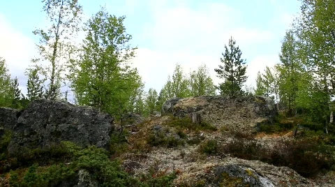 MVI 6690 Stock Footage 740137