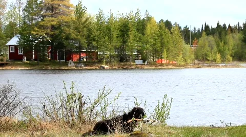 MVI 6835 Stock Footage 740216