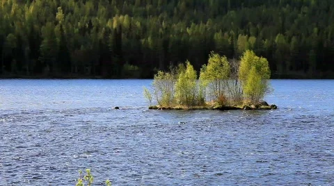 MVI 6872 Stock Footage 740333