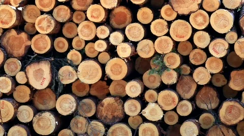 MVI 6887 Stock Footage 740340