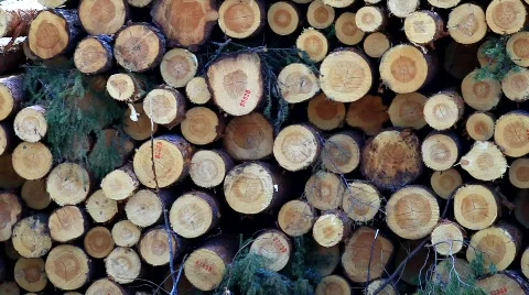 MVI 6888 Stock Footage 740343