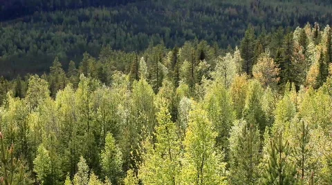 MVI 6891 Stock Footage 740348