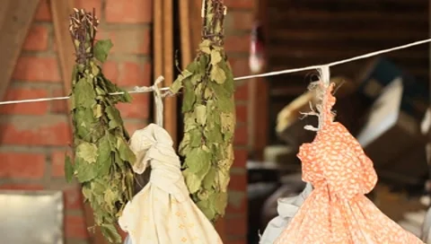 MVI 7044 Stock Footage 7727895