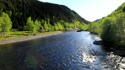 MVI 7177 Stock Footage 740430