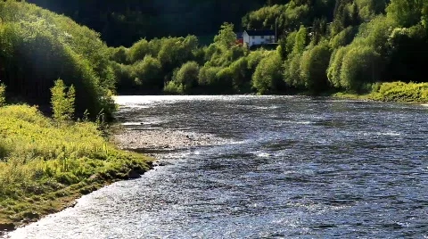 MVI 7192 Stock Footage 740431