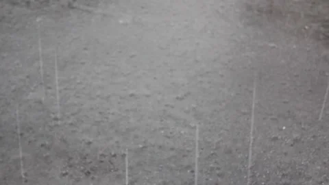 MVI 7302 Stock Footage 139513186