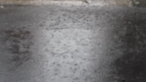 MVI 7306 Stock Footage 139513304