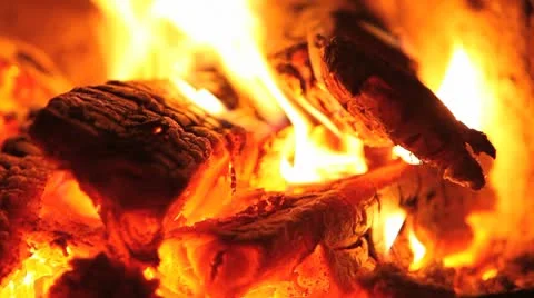 MVI 7351 Stock Footage 8946988