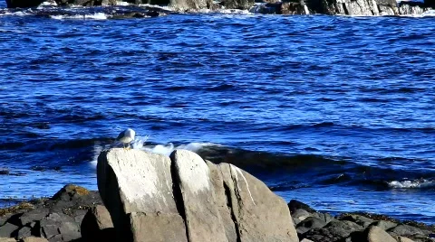 MVI 7472 Stock Footage 740577