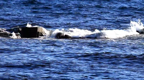 MVI 7473 Stock Footage 740682