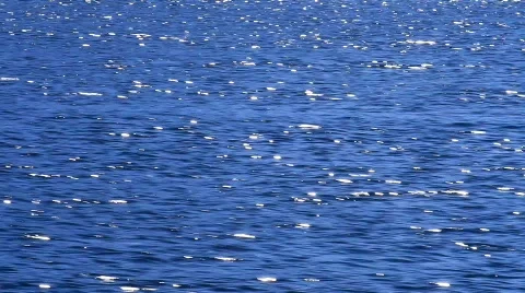 MVI 7625 Stock Footage 741064