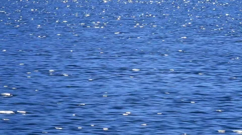 MVI 7626 Stock Footage 741233