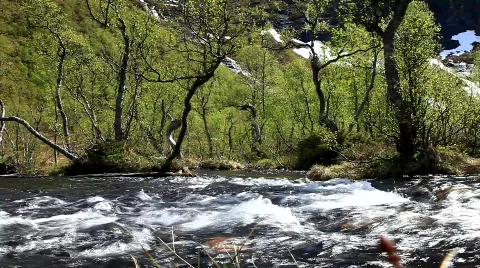 MVI 7661 Stock Footage 741894