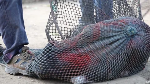 MVI 7668 Stock Footage 134821422