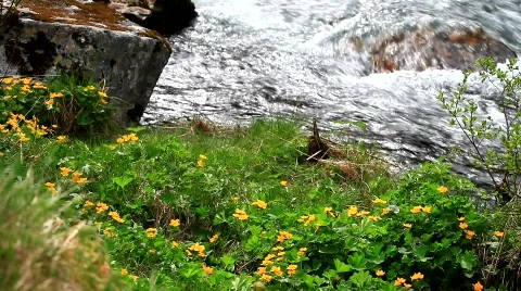 MVI 7684 Stock Footage 742657