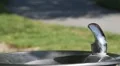 MVI 7702 HD Footage