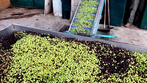 MVI 7705a1 Stock Footage 120532155