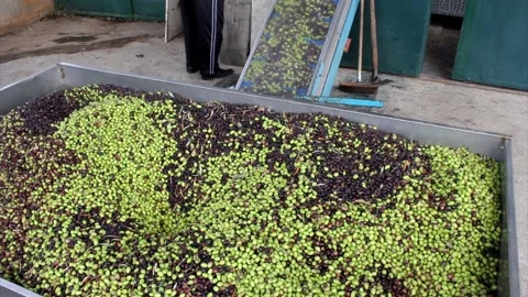 MVI 7707 Stock Footage 139507494