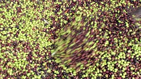 MVI 7720 Stock Footage 119328513