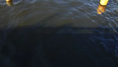 MVI 7723 Stock Footage 7747862