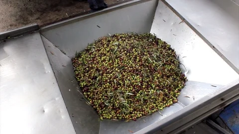 MVI 7741 Stock Footage 119341902