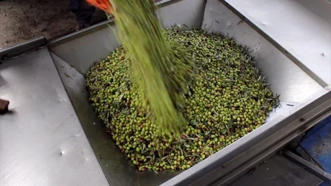 MVI 7743a Stock Footage 121737976