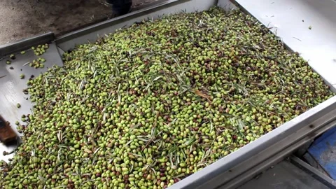 MVI 7751 Stock Footage 139507781