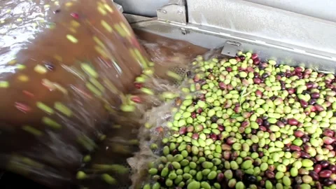 MVI 7762 Stock Footage 139511772