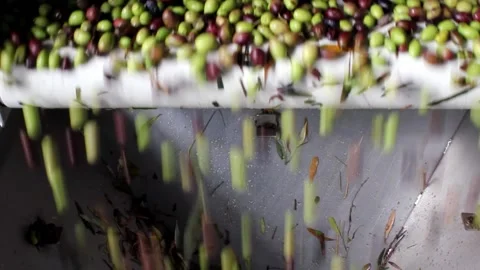 MVI 7769 Stock Footage 139511886