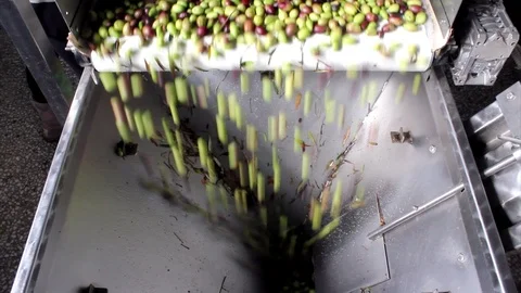 MVI 7770 Stock Footage 121742122