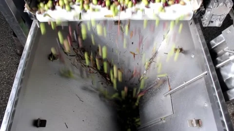 MVI 7771 Stock Footage 139511918