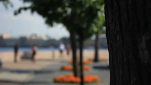 MVI 7794 Stock Footage 7750422