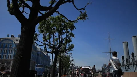 MVI 7796 Stock Footage 7750359