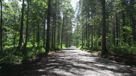 MVI 7804 1 Stock Footage 11613269