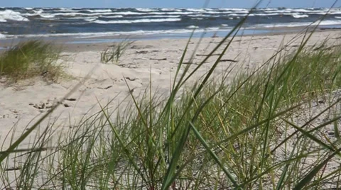 MVI 8 Stock Footage 33930431