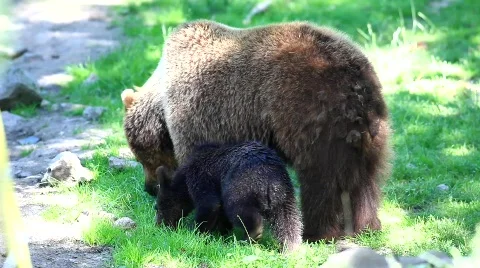 MVI 8206 Stock Footage 744485