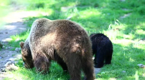 MVI 8207 Stock Footage 744533