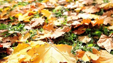 MVI 8418 Stock Footage 8845996