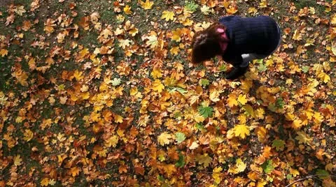 MVI 8428 Stock Footage 8845991