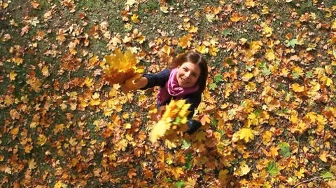 MVI 8430 Video stock 8845985