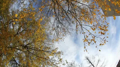 MVI 8478 Stock Footage 8845987