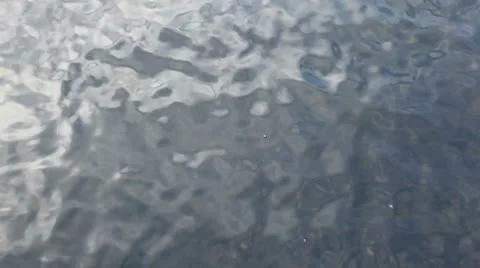 MVI 8483 Video stock 8845979