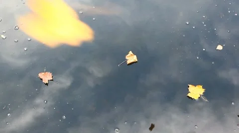 MVI 8484 Stock Footage 8930818