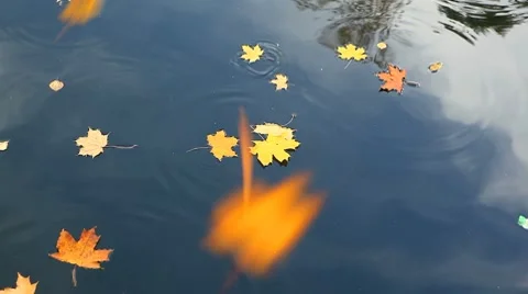 MVI 8488 Stock Footage 8845977