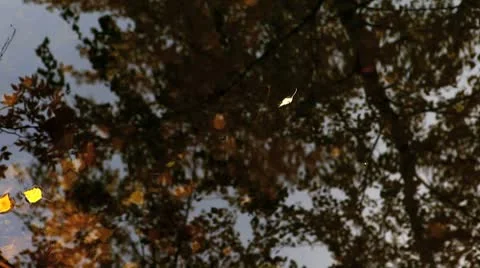 MVI 8490 Stock Footage 8849972