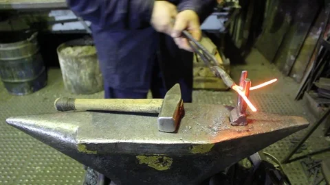 MVI 8545 動画素材 105798138