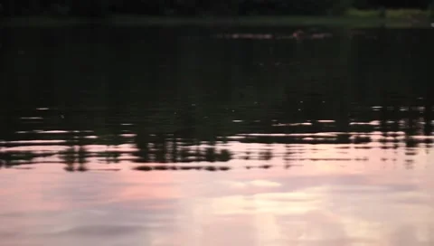 MVI 8944 Stock Footage 7763734