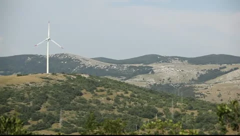 MVI 8947 Stock Footage 11330346